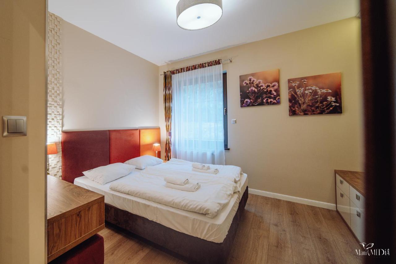 Dolina Wikingow Apartament Oye 09 Шклярска Поремба Екстериор снимка