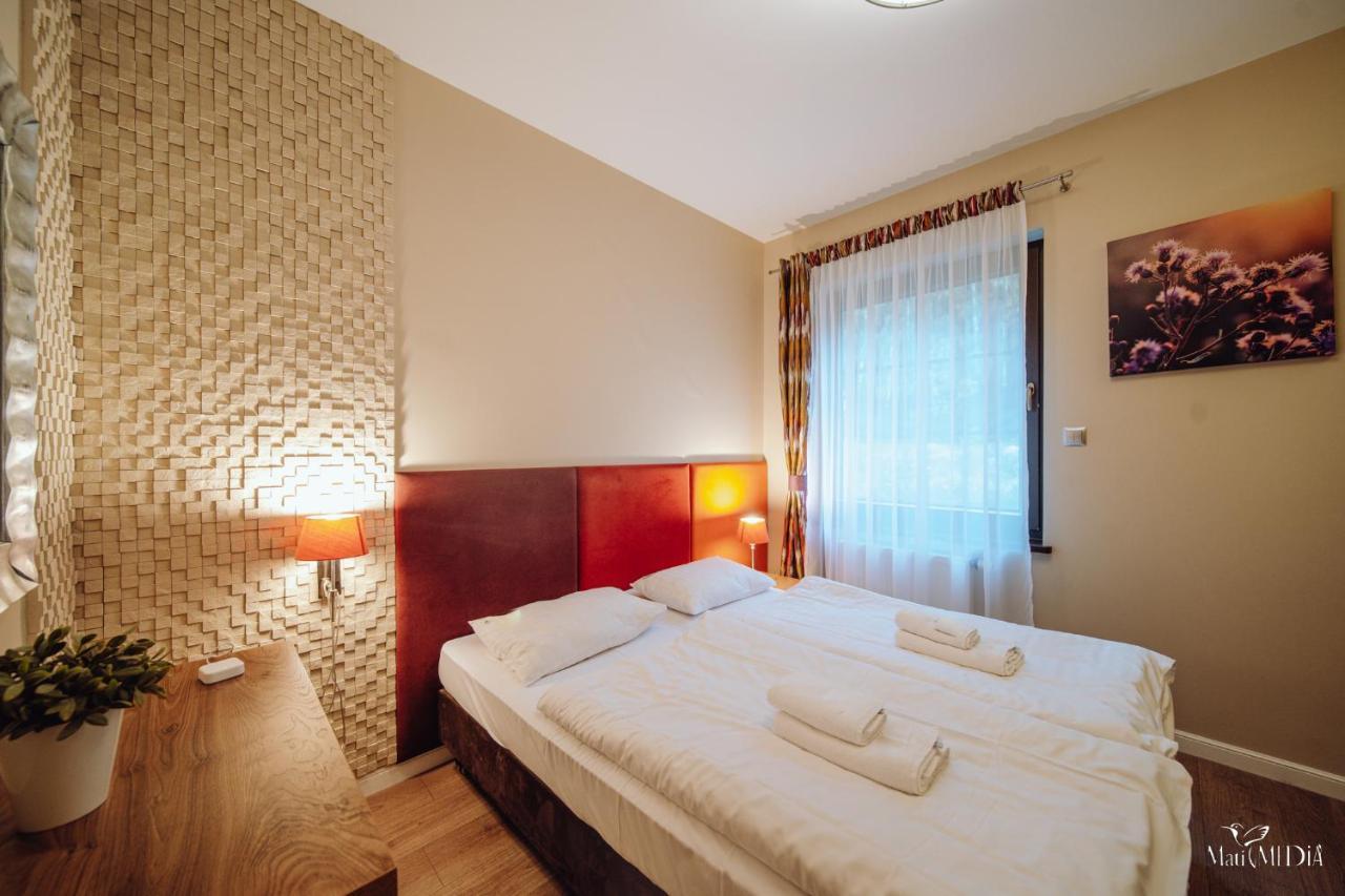 Dolina Wikingow Apartament Oye 09 Шклярска Поремба Екстериор снимка